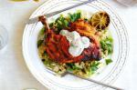 Australian Harissa And Lime Roasted Chicken With Mixed Couscous Recipe Appetizer
