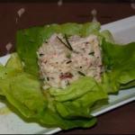 American Grated of the Sea on a Bed of Lettuce Appetizer