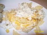 Australian Retro Chicken  Chips Casserole Appetizer