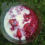 American Red Fruit Jelly with Yoghurt Cream Breakfast