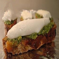 Canadian Sofa with Pesto and Mozzarella Di Bufala Appetizer