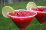 American Red Cactus Margarita  Alcohol Optional Appetizer