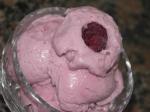 American Raspberry Frozen Yogurt 2 Dessert