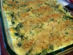 American Shrimp and Spinach Casserole Dinner