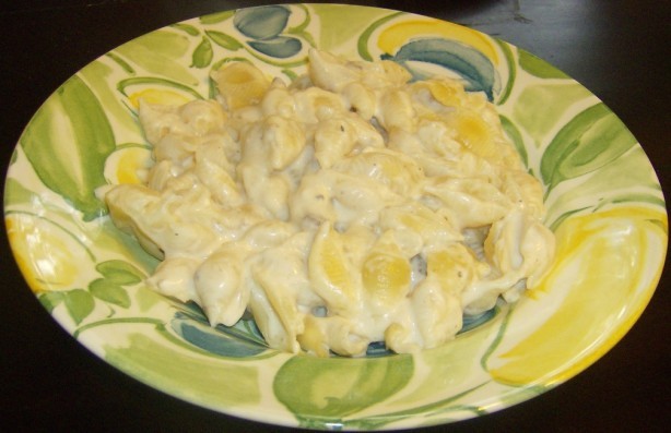 British Light  Cheese Chicken Fettuccine Appetizer