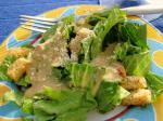 Chilean Caesar Salad Dressing 37 Appetizer