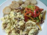 American Scrambled Eggs with Mushrooms  Chives Appetizer