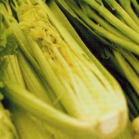 Canadian Spring Onion And Celery Bundles Dinner