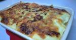 American Completely Handmade Lasagna 1 Dinner