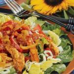 American Texmex Chicken Salad Appetizer