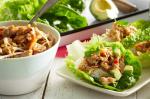 Thai Thai Chicken Lettuce Cups With Avocado and Lime Recipe Appetizer
