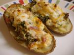 American Broccoli Bakers Appetizer
