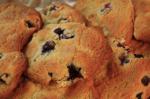 Australian Blueberry Cookies 2 Dessert