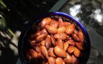 American Smoked Almonds Recipe BBQ Grill
