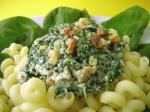 American Spinach and Ricotta Cheese Sauce for Pasta Dinner