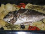 Croatian Dalmatian Fish Casserole Dinner