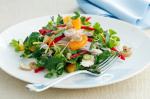 Australian Mandarin Chicken And Cashew Salad Recipe Appetizer