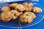 Australian Oat And Raisin Chocchip Cookies Recipe Dessert