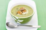 American Broccoli And Leek Soup Recipe Appetizer