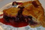 American Dewberry Pie Appetizer