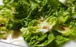 American Butter Lettuce and Pumpkin Seed Salad Recipe Appetizer