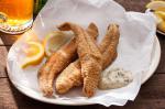 American Cornmeal Fried Catfish with Remoulade Recipe Appetizer
