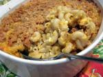 American Southern Macaroni and Cheese 1 Dinner