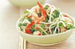 Vietnamese Prawn And Rice Noodle Salad Recipe Appetizer