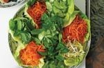 Vietnamese Sa Lach Dia pickled Vegetable Salad Recipe Appetizer