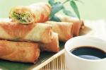 Vietnamese Vegetable Spring Rolls Recipe 3 Appetizer