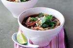 Vietnamese Vietnamese Beef and Noodle Soup Recipe Soup