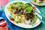 Vietnamese Lemongrass Beef Salad Recipe 1 Appetizer