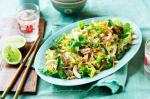 Vietnamese Vietnamese Chicken Salad Recipe 9 Appetizer