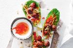 Vietnamese Meatball Lettuce Wraps Recipe recipe
