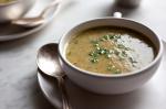 American Lettuce and Green Garlic Soup Recipe Appetizer