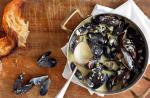 American Spicy Coconut Mussels with Lemon Grass Recipe Appetizer