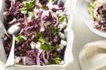 American Shaved Fennel Radicchio and Feta Salad Recipe Appetizer