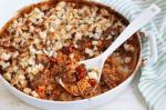 Italian Ovenbaked Rice Casserole Recipe Appetizer