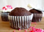 American One Bowl Chocolate Cupcakes Appetizer