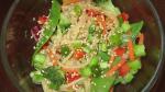 American Asian Pasta Salad Recipe Appetizer