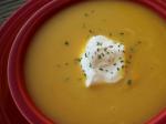 American Acorn Squash and Apple Soup 3 Appetizer