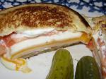 American Einstein Bros Bagels Ultimate Toasted Cheese Sandwich Appetizer