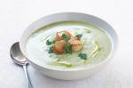 American Broccoli Soup With Scallops Recipe Appetizer