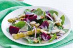 American Beetroot Bean And Hazelnut Salad With Horseradish Dressing Recipe Appetizer