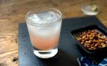 Mexican Paloma Recipe Appetizer