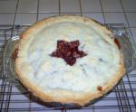 American Cranberry Mincemeat Tarts or Pie Dinner