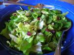 French Cranberry Pecan Salad 1 Breakfast
