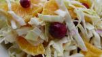 American Cranberry Coleslaw Recipe Appetizer