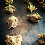 Chewy Chocolate Chip Cookies 16 recipe
