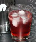 Cranberry and Vodka Sparkle recipe